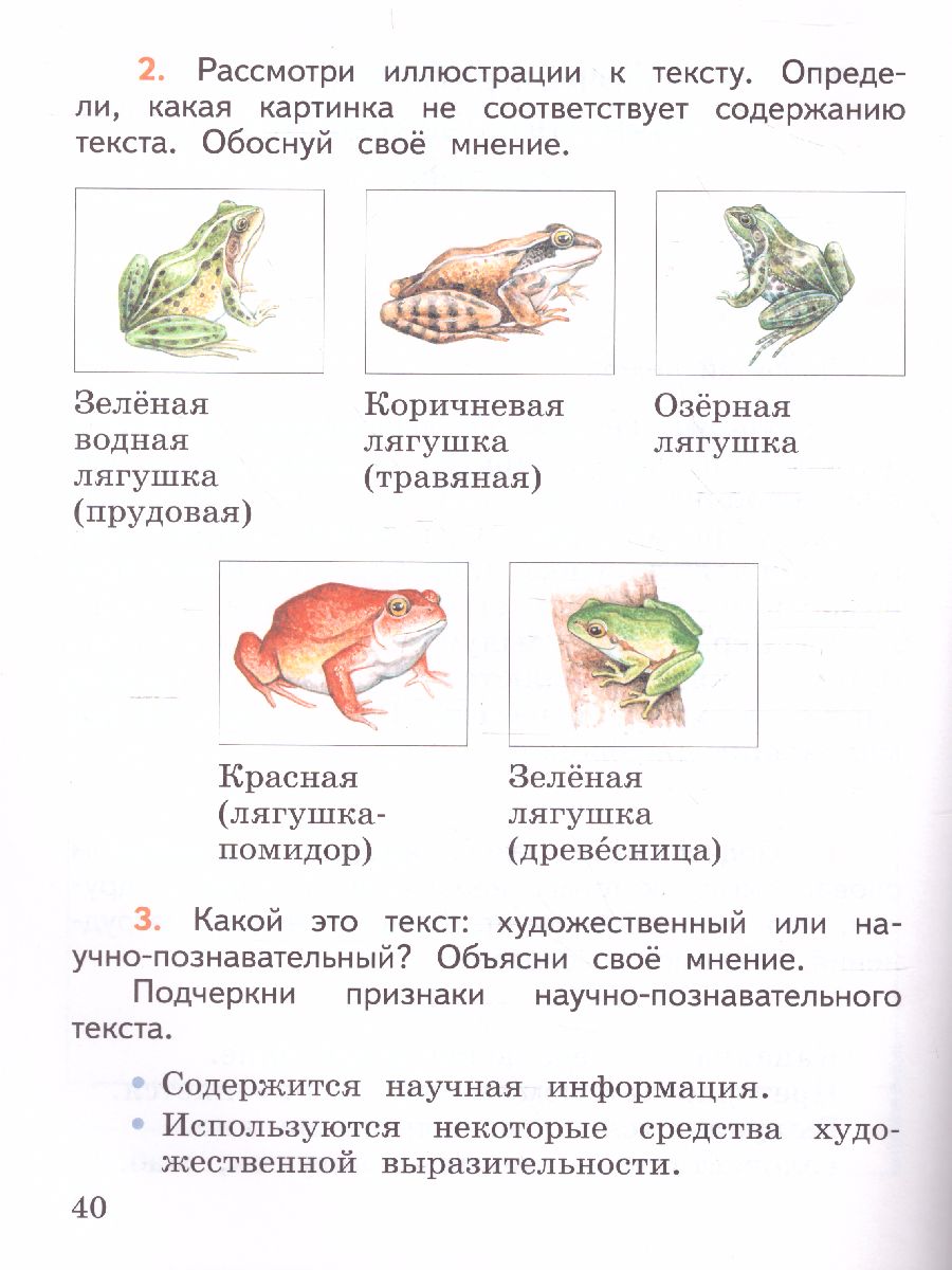 Обложка книги Литературное чтение 1 класс. Работа с текстом. УМК "Школа России", Автор Бойкина М.В. Бубнова И.А., издательство Просвещение | купить в книжном магазине Рослит
