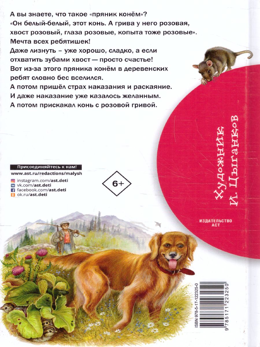 Обложка книги Конь с розовой гривой, Автор Астафьев В.П., издательство АСТ | купить в книжном магазине Рослит