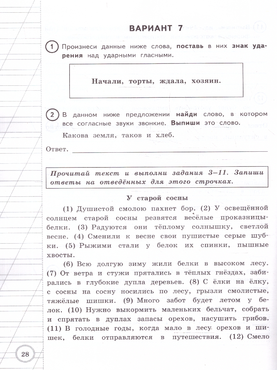 Обложка книги ВПР Русский язык. За курс начальной школы. 10 вариантов, Автор Волкова Е. В., издательство Экзамен | купить в книжном магазине Рослит