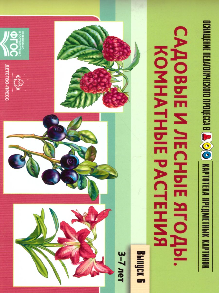 Обложка книги Картотека предметных картинок. Выпуск.6. Садовые и лесные ягоды. Комнатные растения, Автор Нищева Н.В., издательство ДЕТСТВО-ПРЕСС | купить в книжном магазине Рослит