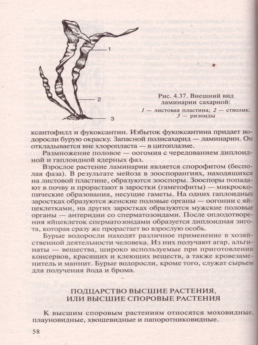 Обложка книги Биология для поступающих в ВУЗы. Часть 2, Автор Чебышев, издательство Новая Волна | купить в книжном магазине Рослит