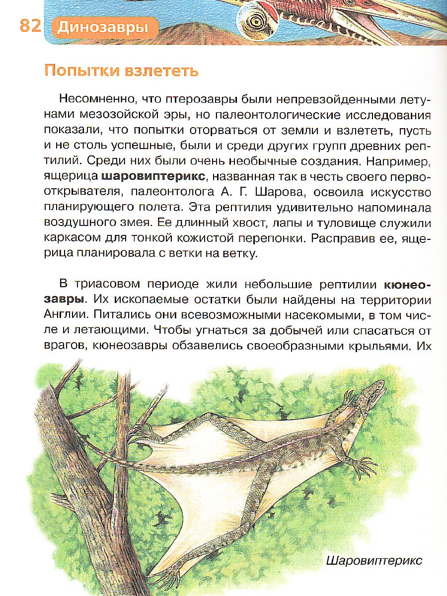 Обложка Динозавры, издательство РОСМЭН | купить в книжном магазине Рослит