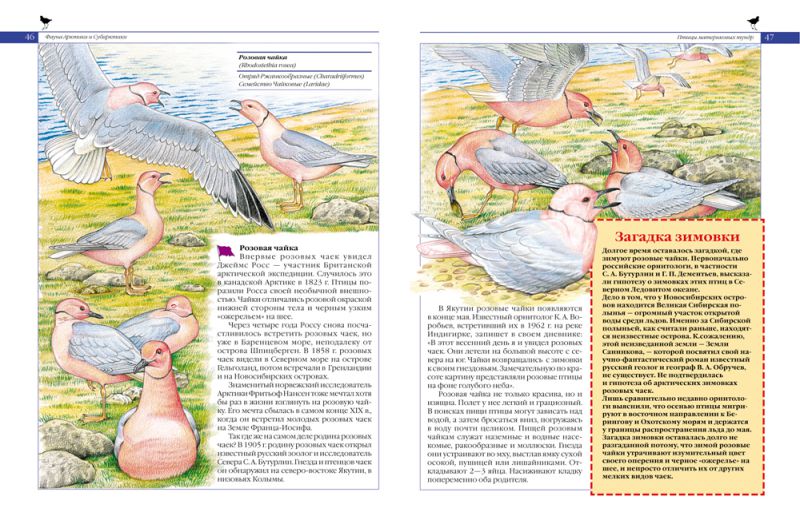 Обложка Красная книга России. Животные, издательство РОСМЭН | купить в книжном магазине Рослит