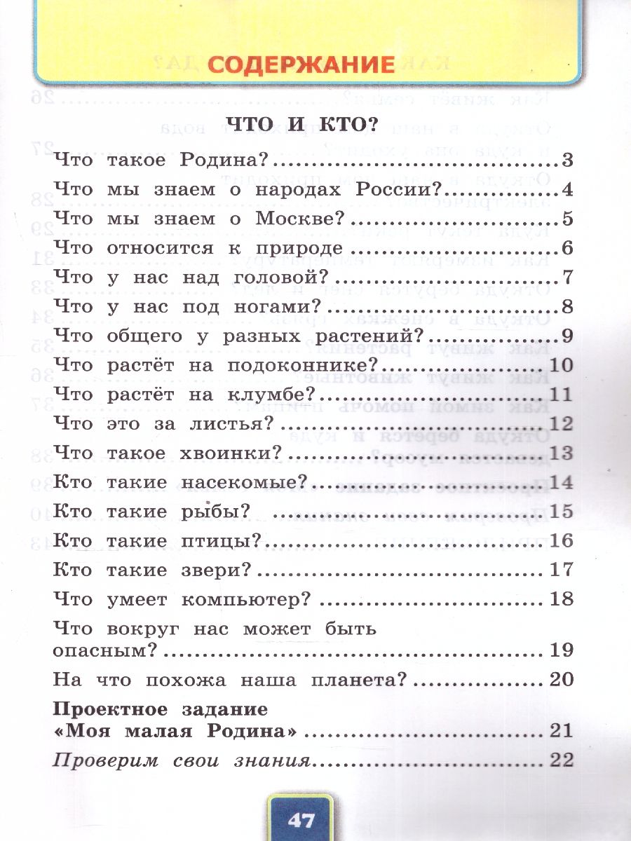 Обложка книги Окружающий мир 1 класс. Рабочая тетрадь. Часть 1. К новому учебнику. УМК Плешакова. ФГОС НОВЫЙ, Автор Соколова Н.А., издательство Экзамен | купить в книжном магазине Рослит