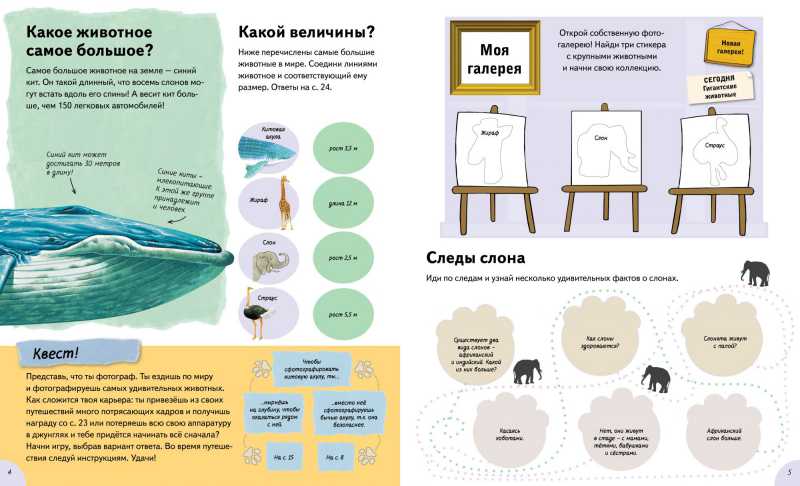 Обложка Животные такие разные (с наклейками) / Интересно, почему?, издательство Махаон | купить в книжном магазине Рослит