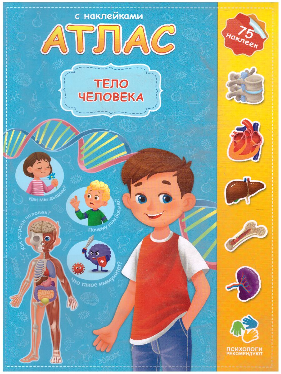 Обложка Атлас с наклейками. Тело человека, издательство ГЕОДОМ | купить в книжном магазине Рослит