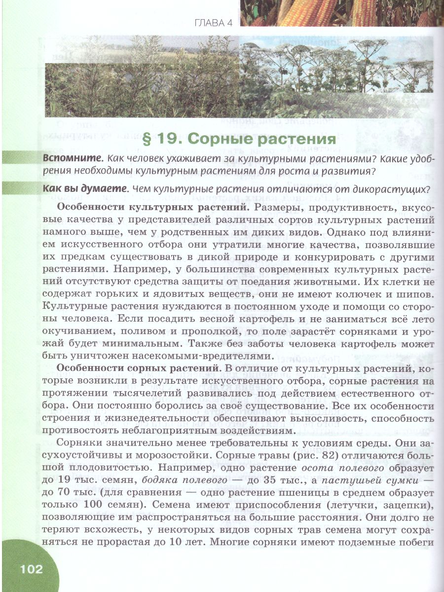 Обложка книги Биология 7 класс. Учебник, Автор Баландин С.А. Ульянова Т.Ю. Исаева Т.А. Романов, издательство Русское слово | купить в книжном магазине Рослит