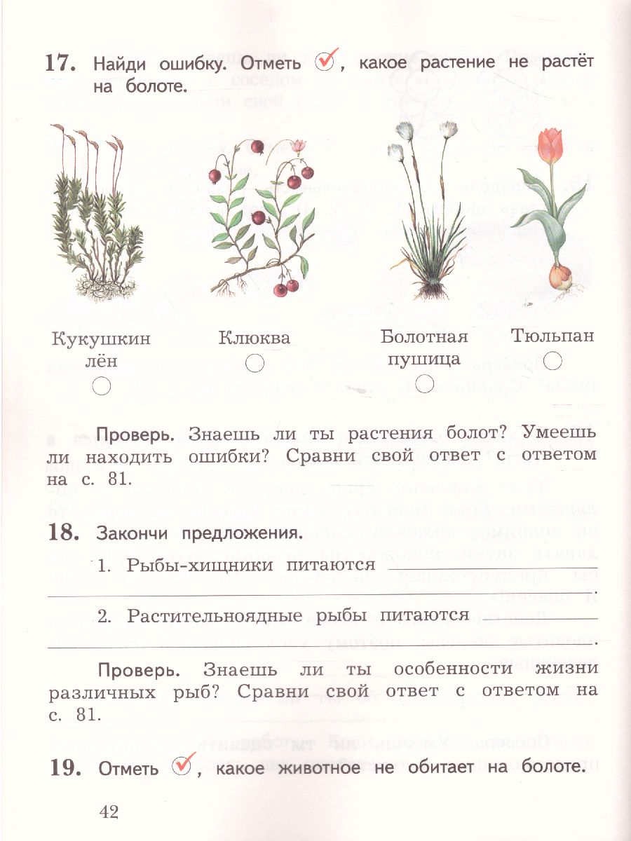Обложка книги Окружающий мир 2 класс. Тетрадь для проверочных работ № 2. ФГОС, Автор Виноградова Н.Ф., издательство Просвещение | купить в книжном магазине Рослит