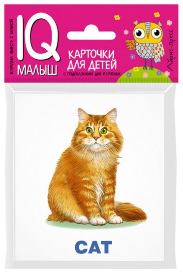 Обложка книги Умный малыш. Домашние питомцы. ENGLISH. Набор карточек для детей, Автор , издательство Айрис | купить в книжном магазине Рослит