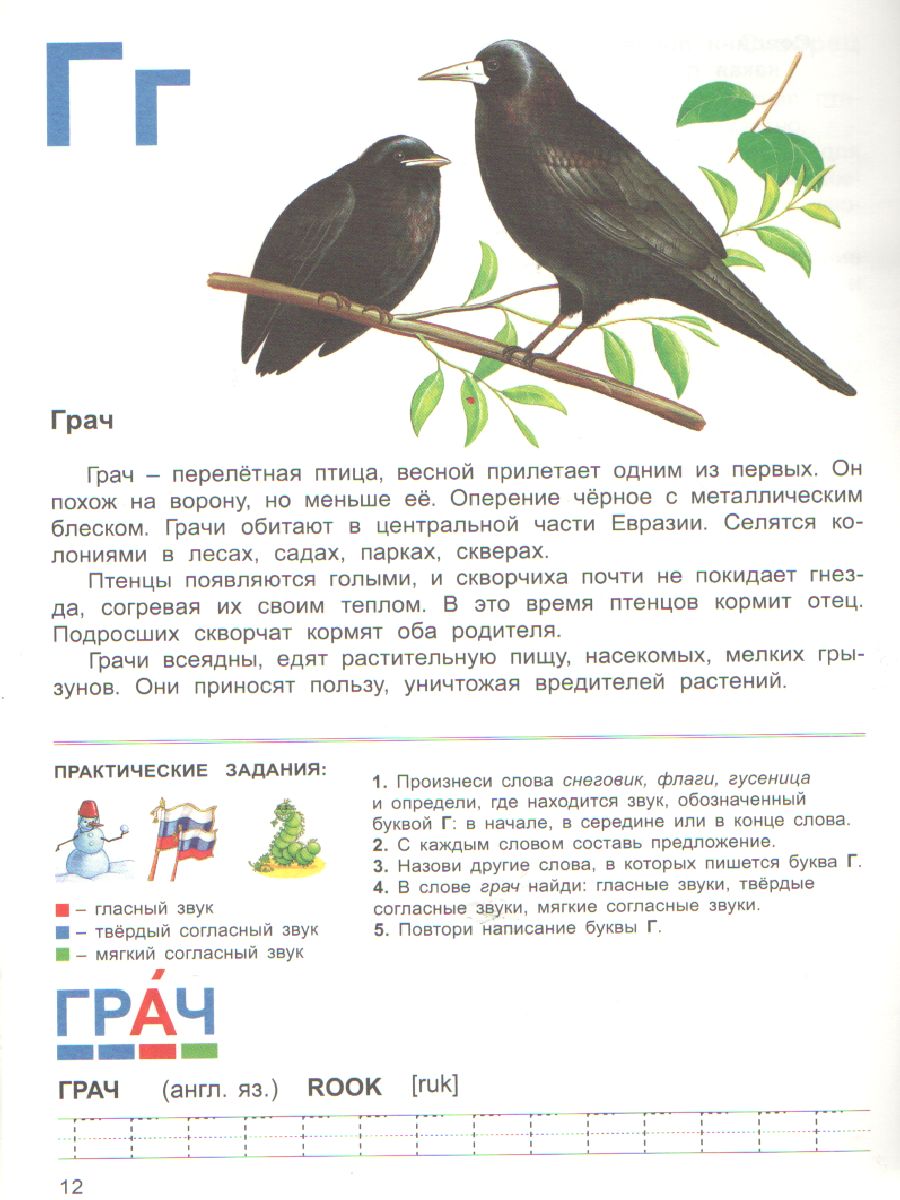 Обложка книги Тетрадь общения и развития детей "Перелетные птицы", Автор , издательство Страна фантазий | купить в книжном магазине Рослит