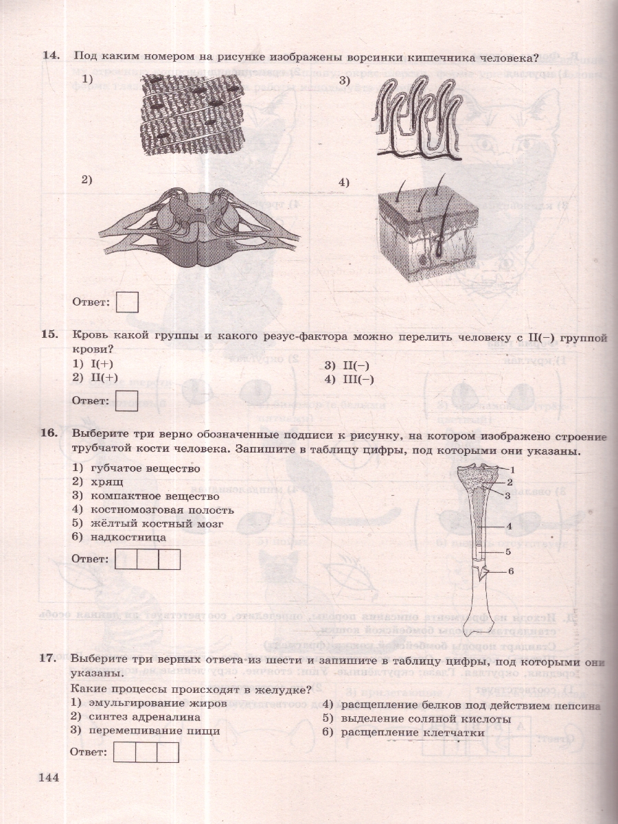 Обложка книги ОГЭ 2026 Биология. Типовые варианты экзаменационных заданий. 15 вариантов. ФИПИ, Автор Мазяркина Т. В.; Первак С. В., издательство Экзамен | купить в книжном магазине Рослит