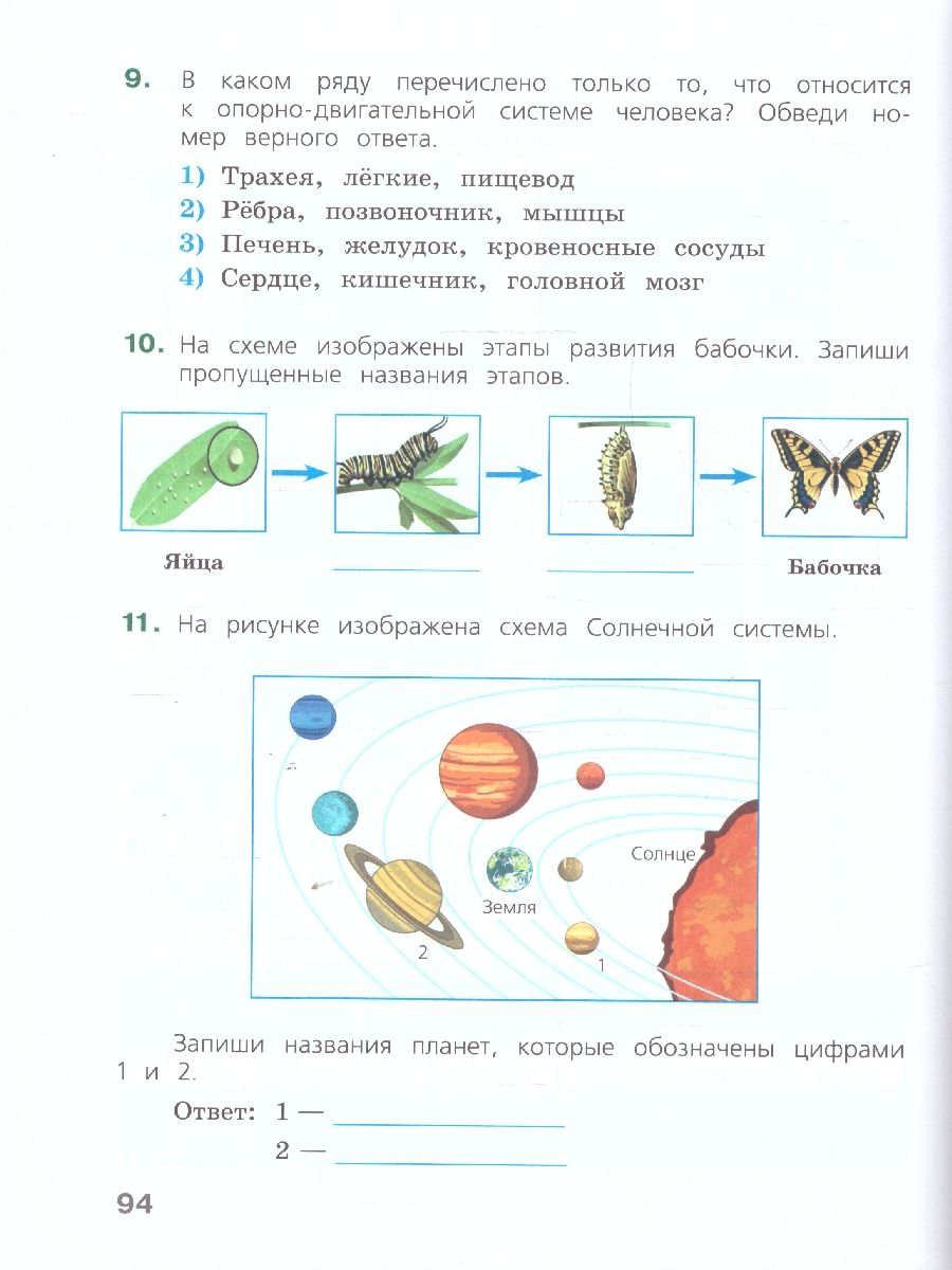 Обложка книги Готовимся к Всероссийской проверочной работе. Окружающий мир 4 класс. Рабочая тетрадь, Автор Демидова М. Ю., издательство Просвещение | купить в книжном магазине Рослит