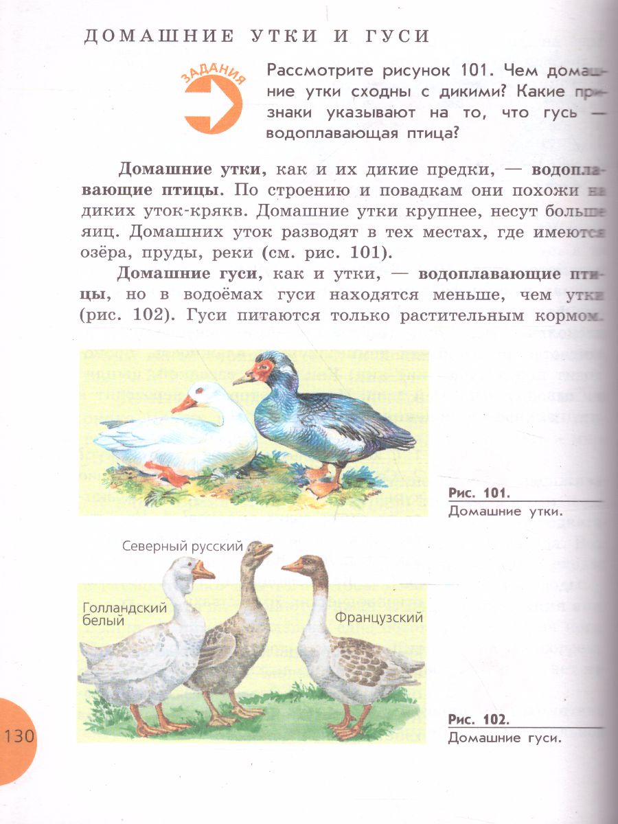 Обложка книги Биология 8 класс. Учебник для специальных (коррекционных) образовательных учреждений VIII вида, Автор Никишов А.И. Теремов А.В., издательство Просвещение | купить в книжном магазине Рослит