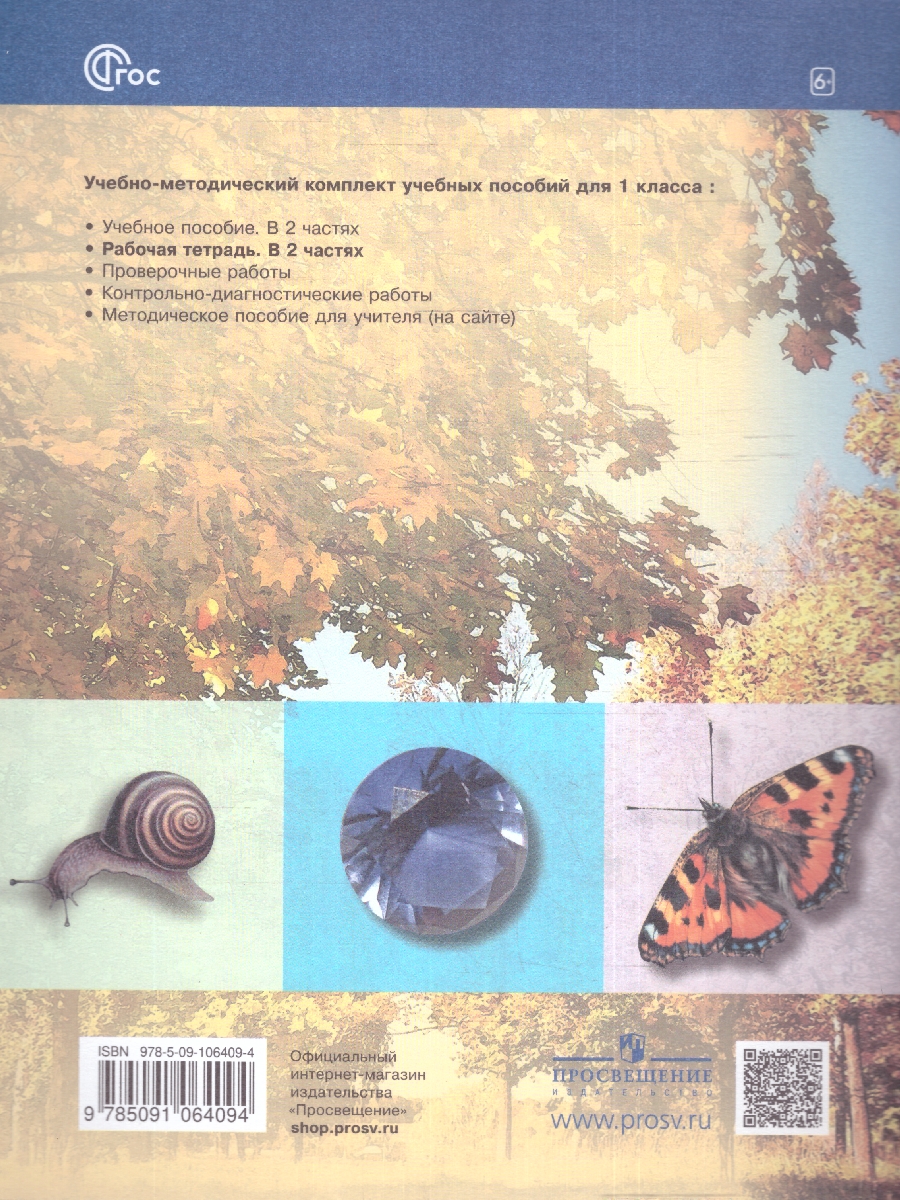 Обложка книги Окружающий мир 1 класс. Рабочая тетрадь. В 2-х частях. Часть 1. К новому учебному пособию, Автор Чудинова Е. В. Букварёва Е.Н., издательство Просвещение/Союз                                   | купить в книжном магазине Рослит