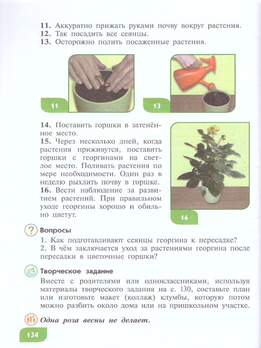 Обложка книги Технология 5 класс. Цветоводство и декоративное садоводство (для обучающихся с интеллектуальными нарушениями), Автор Карман Н.М. Ковалева Е.А. Зак Г.Г., издательство Просвещение | купить в книжном магазине Рослит