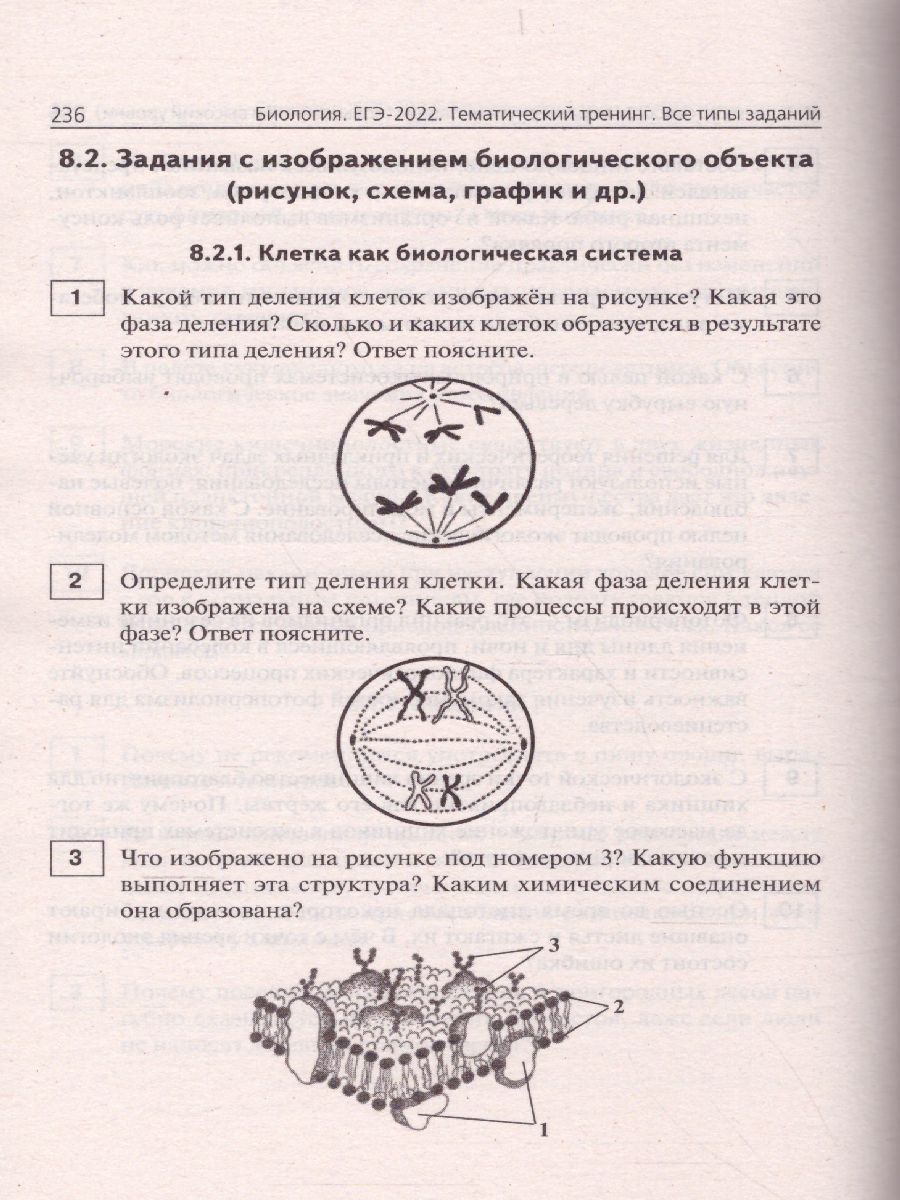 Обложка книги ЕГЭ-2022. Биология. Тематический тренинг, Автор Кириленко А.А., издательство ЛЕГИОН | купить в книжном магазине Рослит