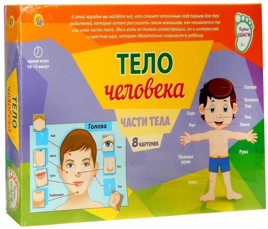 Обложка Первые шаги Тело человека, издательство Проф-пресс | купить в книжном магазине Рослит