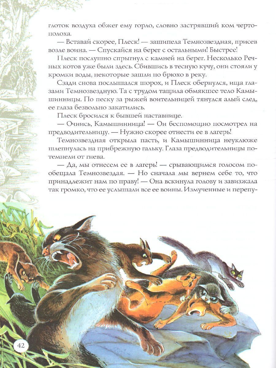 Обложка Коты-воители. Подарок. Закон племен, издательство Просвещение/Союз                                   | купить в книжном магазине Рослит
