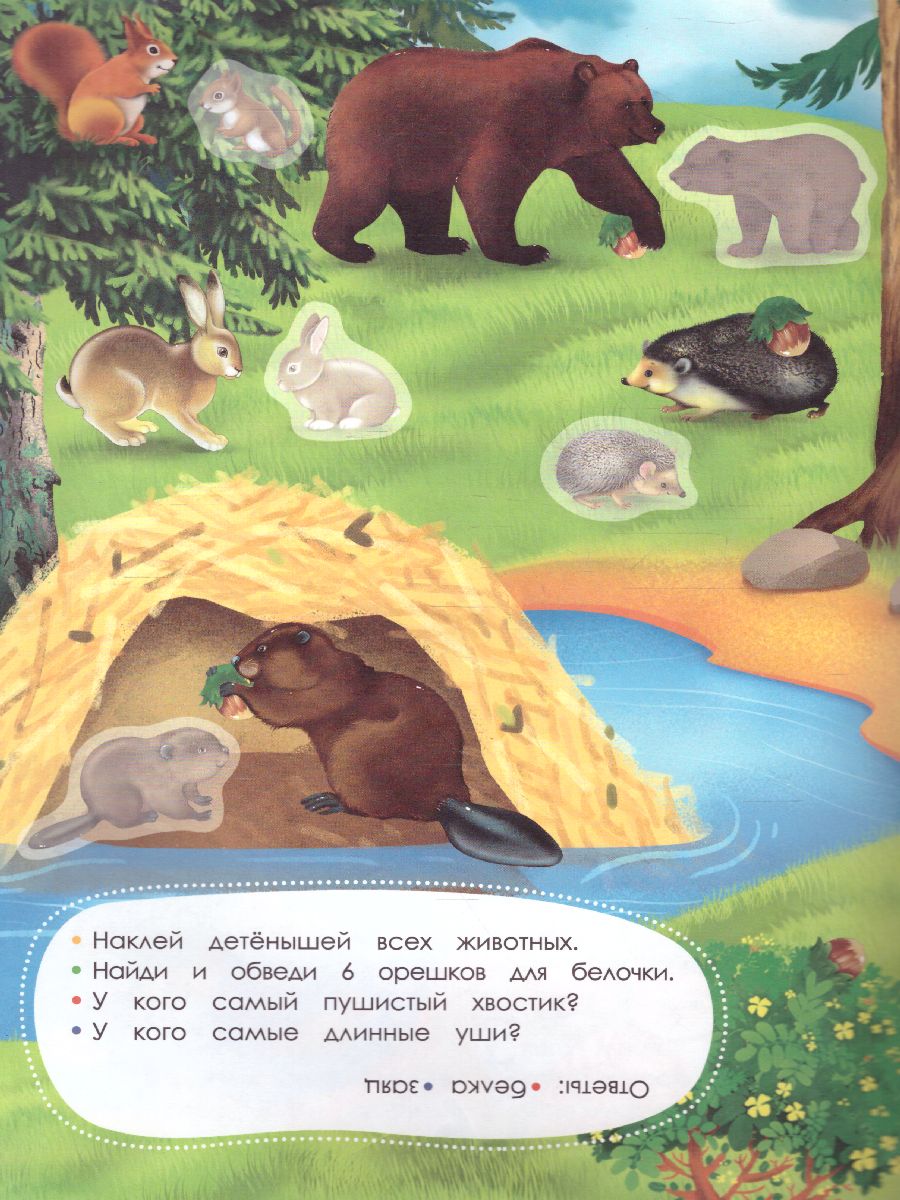 Обложка Книжка с заданиями и наклейками. Чей малыш, издательство ГЕОДОМ | купить в книжном магазине Рослит