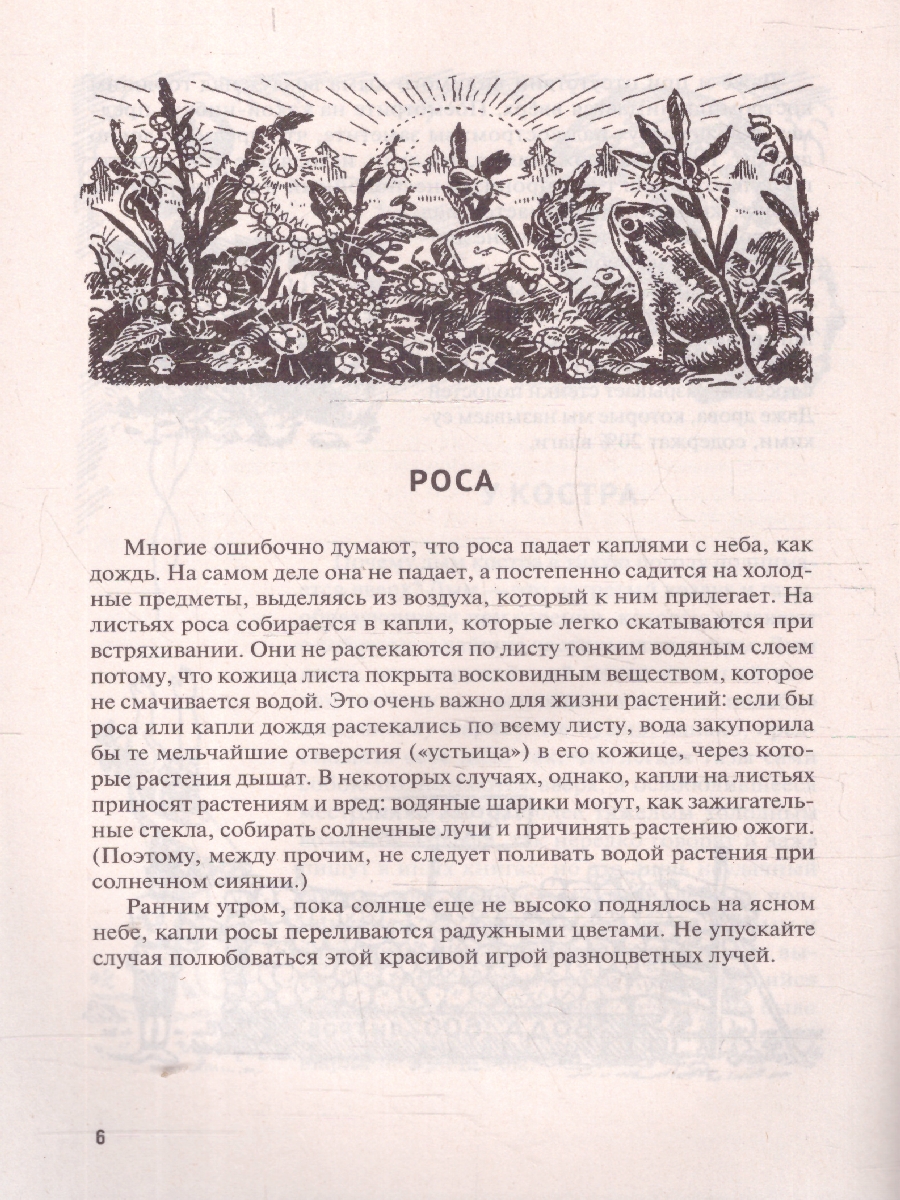 Обложка книги Живая физика, Автор Перельман Я. И., издательство Проспект | купить в книжном магазине Рослит