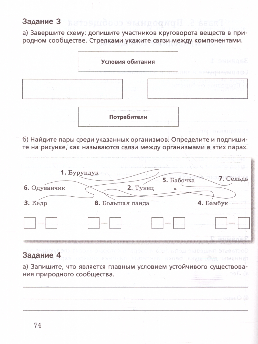 Обложка книги Биология 5 класс (линейный курс). Базовый уровень. Рабочая тетрадь. К новому учебному пособию. ФГОС, Автор Пономарева И. Н.; Корнилова О. А.; Симонова Л. В., издательство Просвещение | купить в книжном магазине Рослит