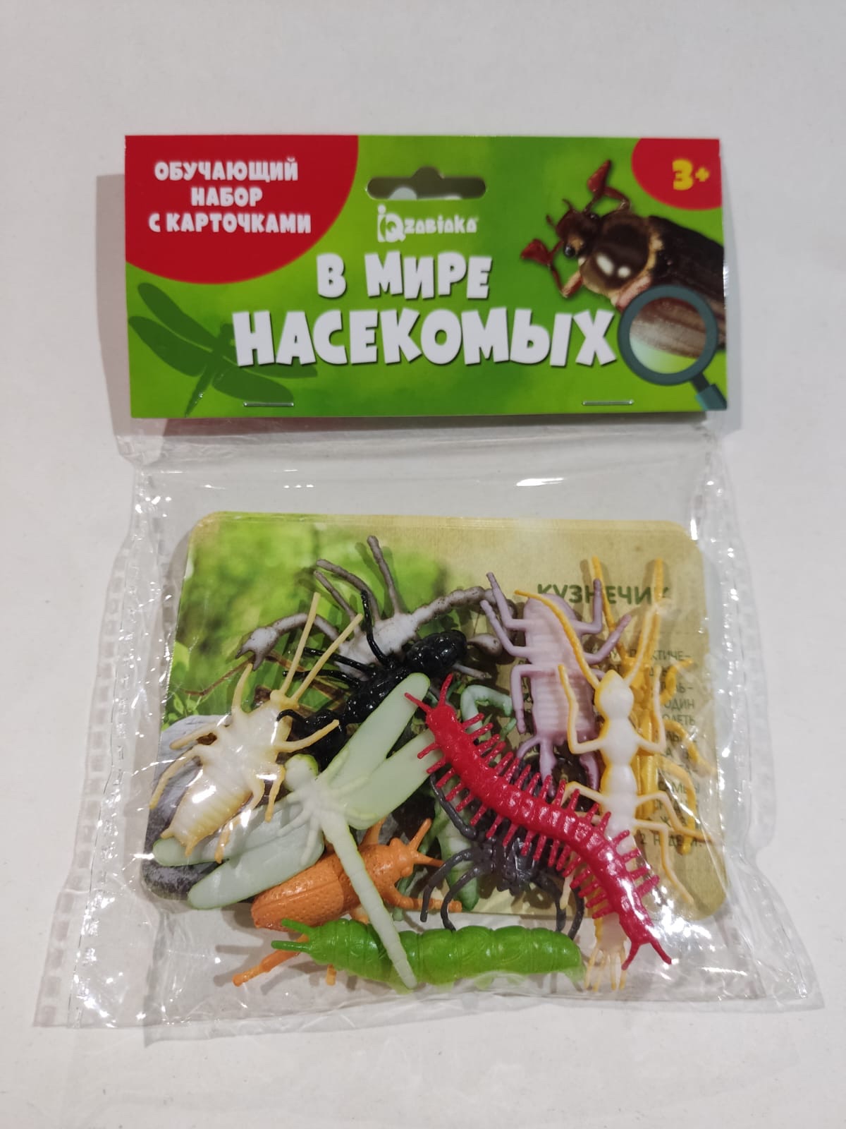 Обложка Набор животных с обучающими карточками В мире насекомых, издательство Буква-Ленд                                         | купить в книжном магазине Рослит