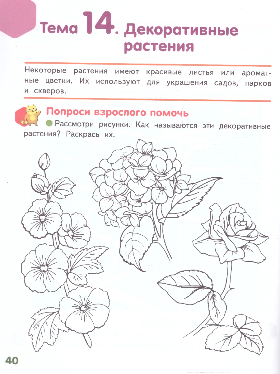 Обложка книги Знакомлюсь с растениями: развивающая тетрадь для детей подготов.группы ДОО (1-е полугодие). 6—7 лет, Автор Михайловская С.Н., издательство Мозаичный парк                                     | купить в книжном магазине Рослит