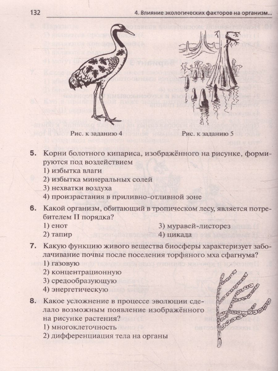 Обложка книги ОГЭ-2023. Биология 9 класс, Автор Кириленко А.А. Колесников С.И. Даденко
 Е.В., издательство ЛЕГИОН | купить в книжном магазине Рослит