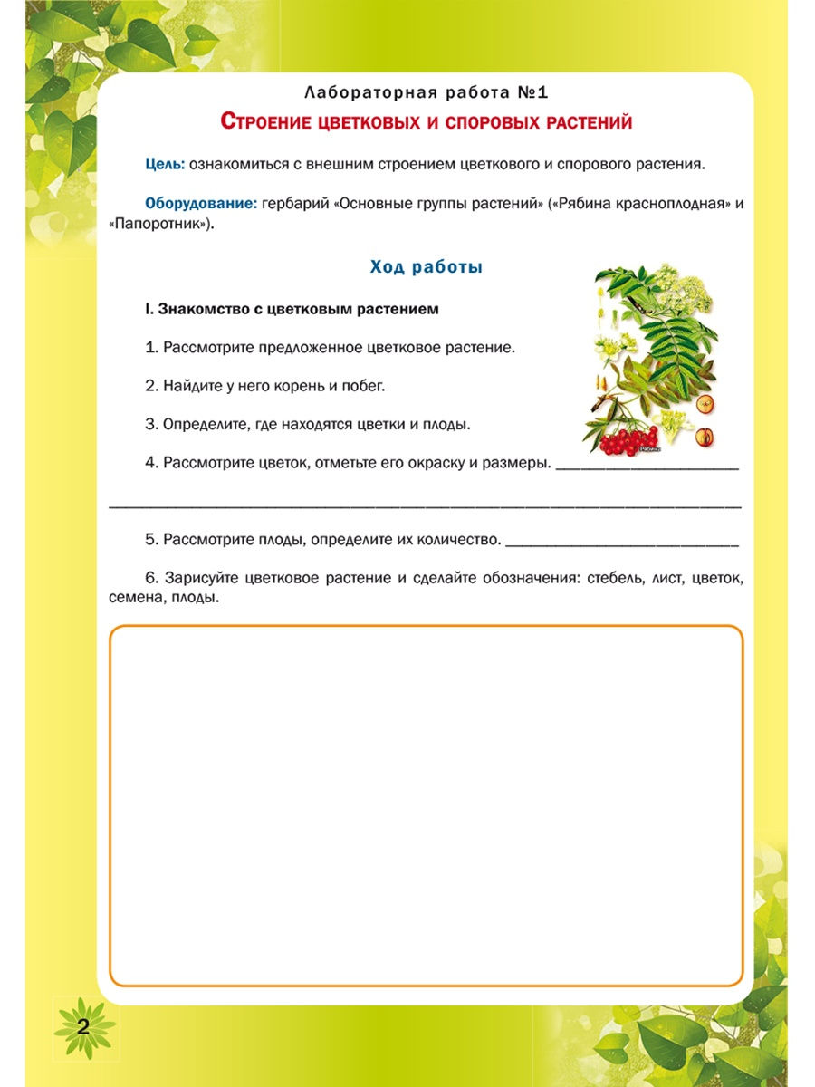 Обложка книги Биология 5–6 классы. Лабораторный практикум. Тетрадь для обучающихся, Автор Месникова И.А. Гренкова Л.Г., издательство Планета | купить в книжном магазине Рослит