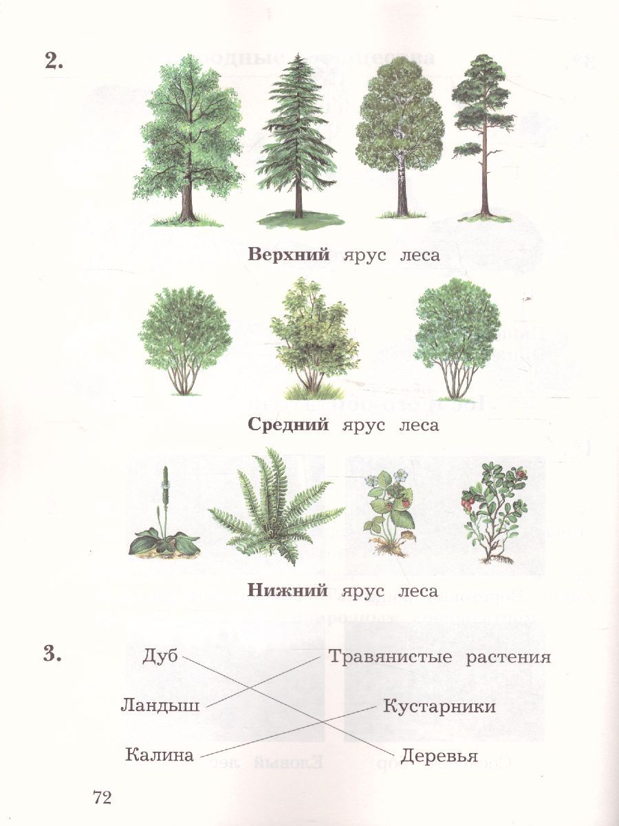 Обложка книги Окружающий мир 2 класс. Тетрадь для проверочных работ № 2. ФГОС, Автор Виноградова Н.Ф., издательство Вентана-Граф | купить в книжном магазине Рослит