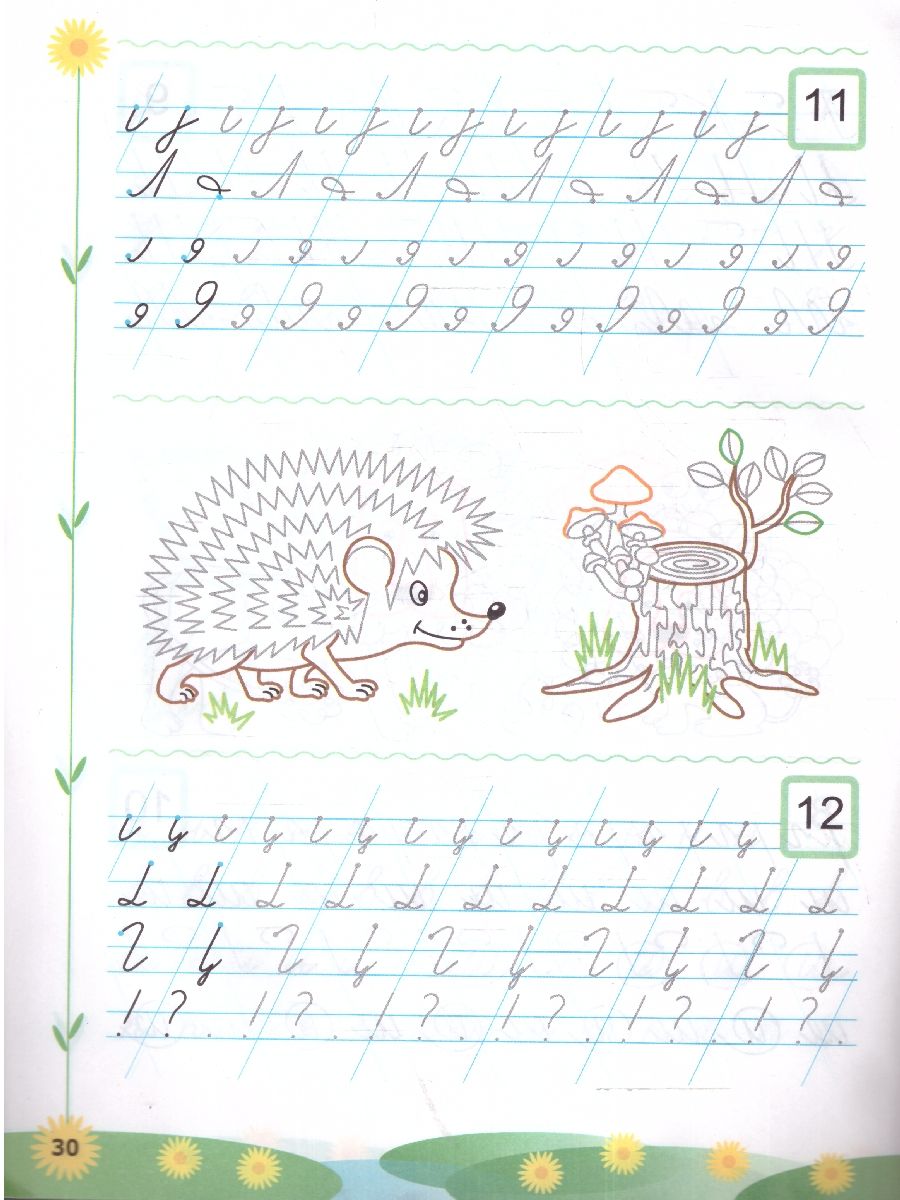 Обложка книги Прописи для дошкольников Пиши - не спеши! Тетрадь № 1. ФГОС ДО, Автор Игнатьева Т. В., издательство Экзамен | купить в книжном магазине Рослит