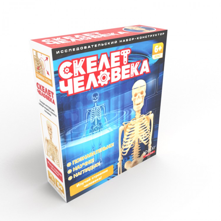 Обложка Исследовательский набор Скелет человека, издательство НД Плэй                                            | купить в книжном магазине Рослит