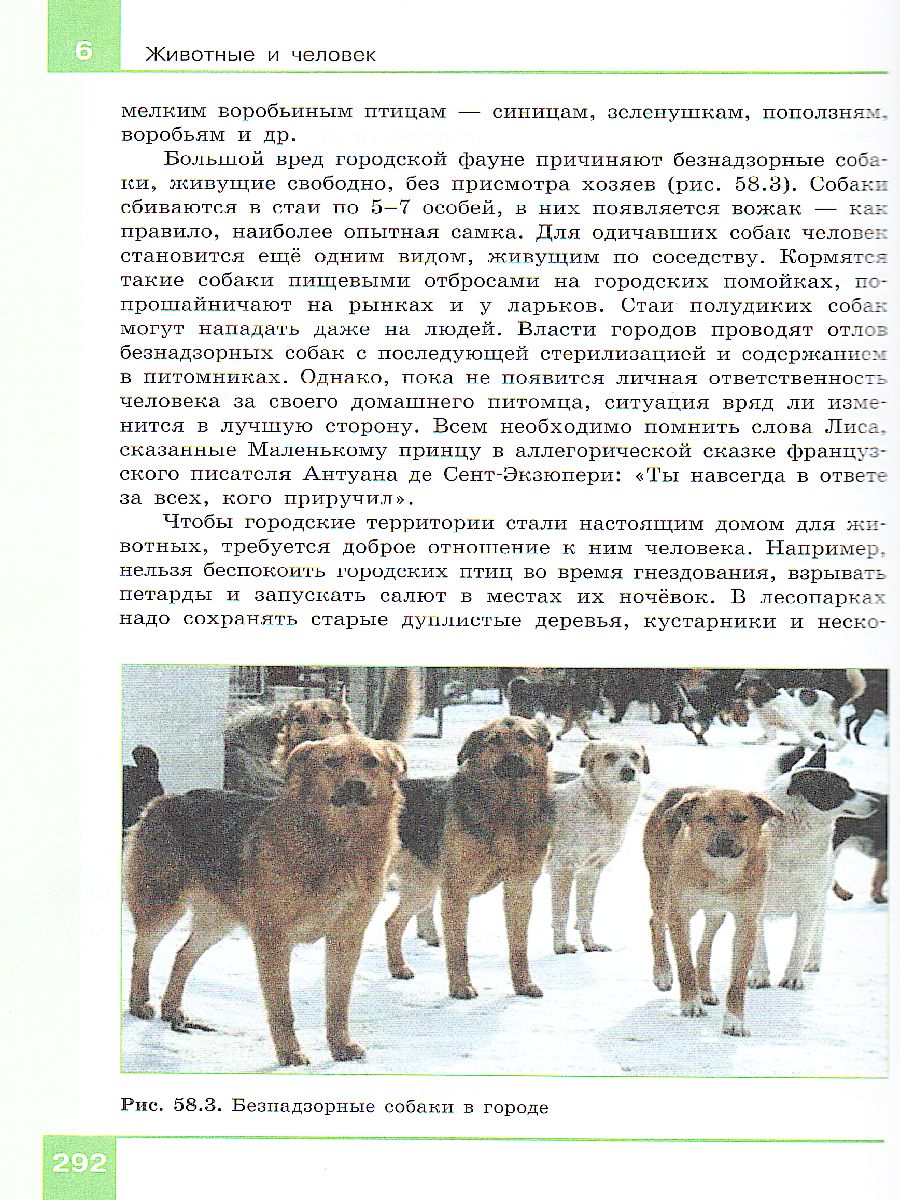 Обложка книги Биология 8 класс. Учебник, Автор Теремов А.В. Жигарев И.А., издательство Просвещение | купить в книжном магазине Рослит