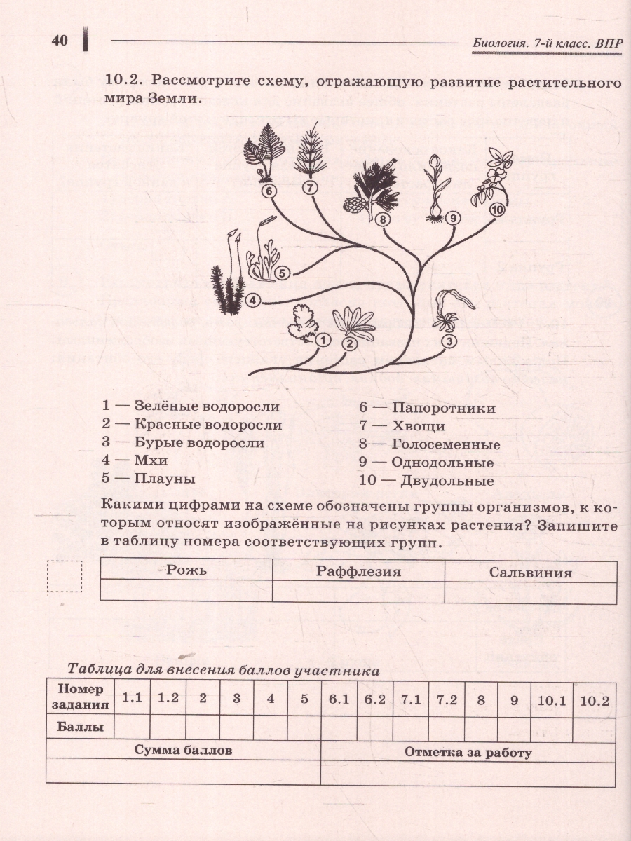 Обложка книги ВПР-2023. Биология 7 класс. 10 тренировочных вариантов, Автор Кириленко А.А., издательство ЛЕГИОН | купить в книжном магазине Рослит
