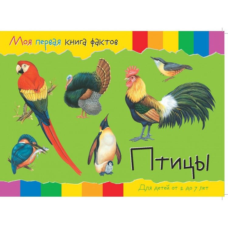Обложка Моя первая книга фактов. Птицы. Развивающая книга, издательство НД Плэй                                            | купить в книжном магазине Рослит