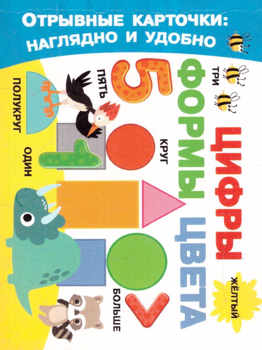 Обложка Цифры, формы, цвета, издательство АСТ | купить в книжном магазине Рослит