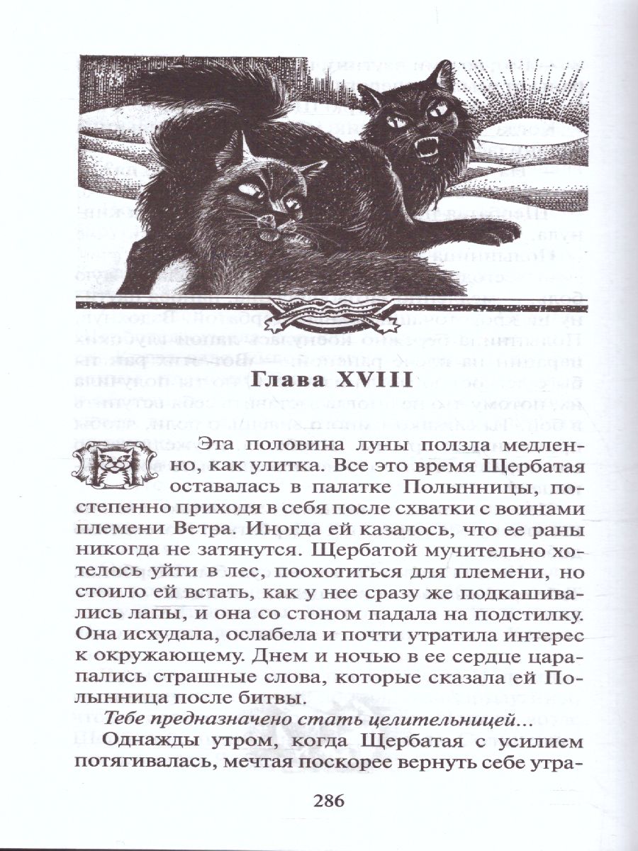Обложка Коты-воители. Цикл "Тайна Щербатой". Предназначение, издательство Просвещение/Союз                                   | купить в книжном магазине Рослит