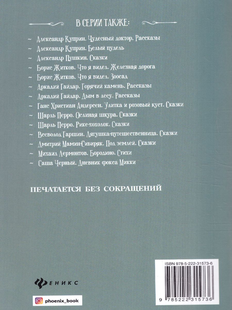 Обложка книги Беглец Рассказы, Автор Чехов А.П., издательство Феникс ТД                                          | купить в книжном магазине Рослит