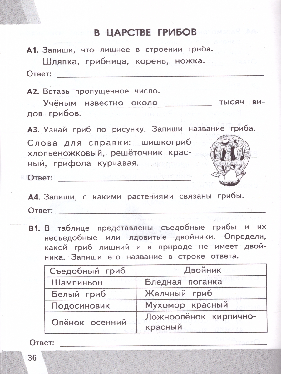 Обложка книги КИМ ВПР Окружающий мир 3 класс. Новый ФГОС, Автор Тихомирова Е. М., издательство Экзамен | купить в книжном магазине Рослит