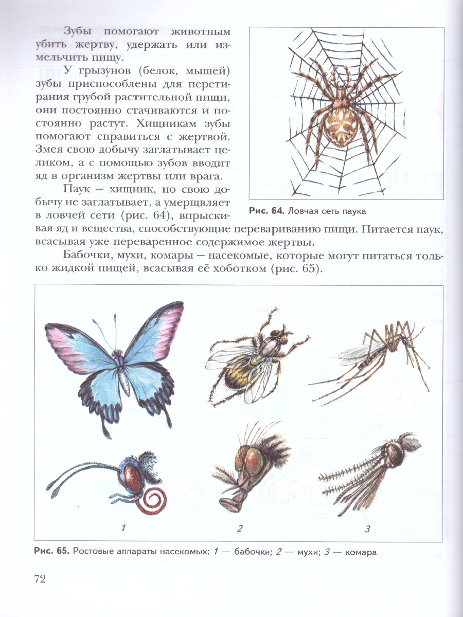 Обложка книги Биология 5 класс. Учебник. ФГОС, Автор Сухова Т.С. Строганов В.И., издательство Просвещение/Союз                                   | купить в книжном магазине Рослит