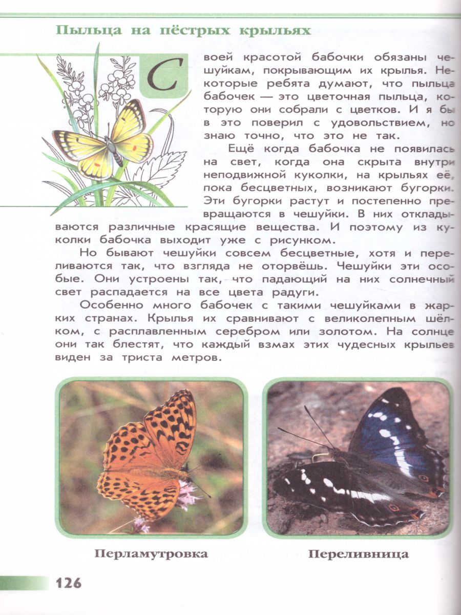 Обложка книги Зеленые страницы. Книга для учащихся начальных классов. ФГОС. УМК "Школа России", Автор Плешаков А.А., издательство Просвещение | купить в книжном магазине Рослит