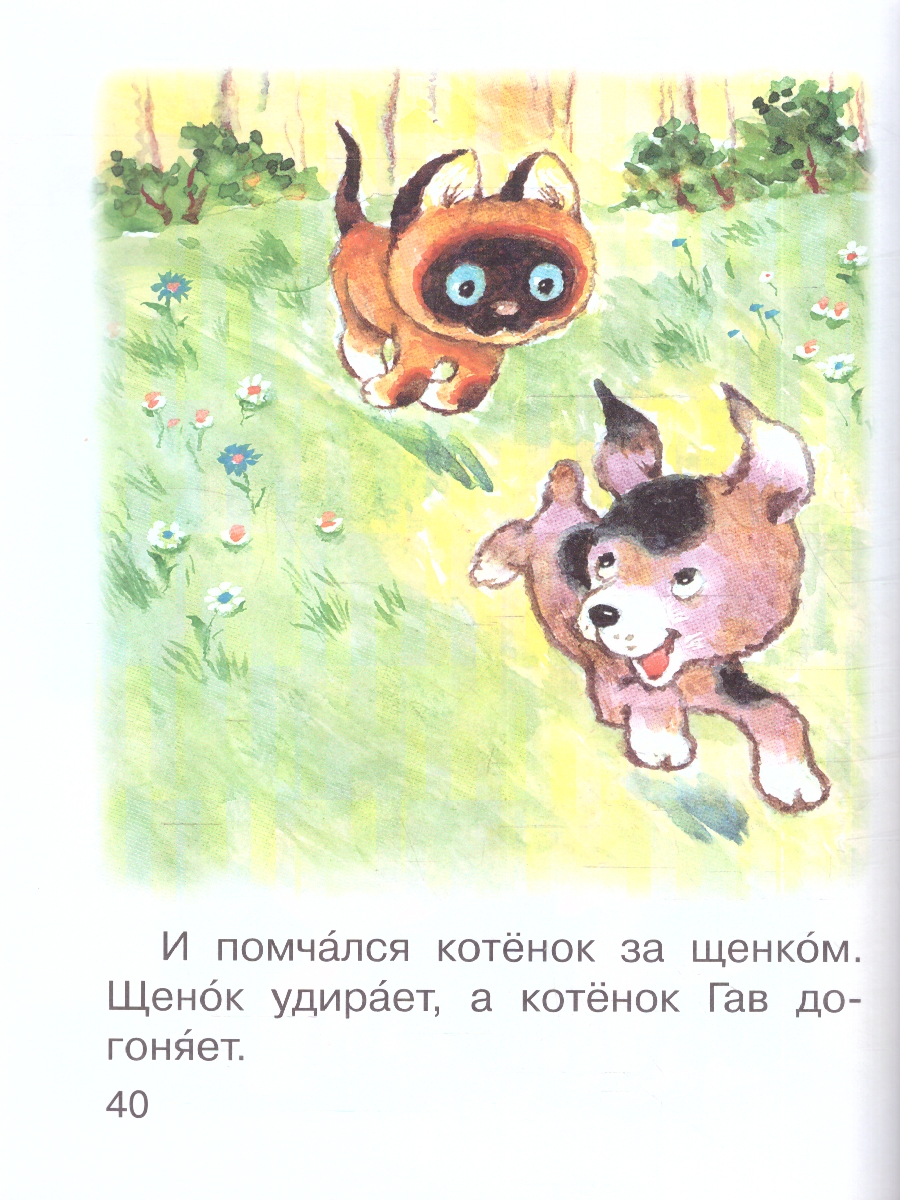 Обложка Котёнок по имени Гав, издательство АСТ | купить в книжном магазине Рослит