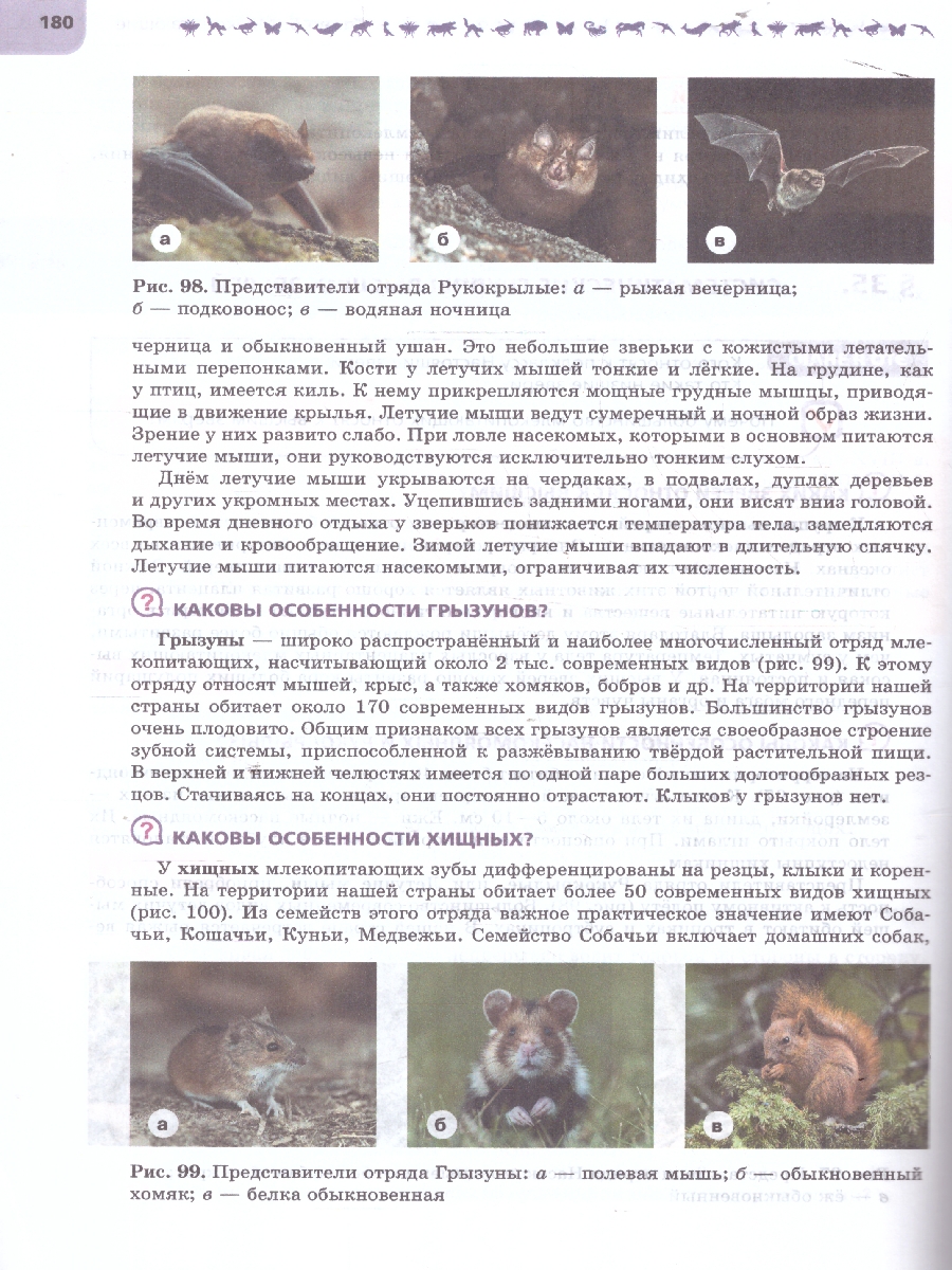Обложка книги Биология. 8 класс. Углублённый уровень. В 2-х частях. Часть 2. Учебное пособие, Автор Суматохин С.В. Громова Н.П. Захарова Н.Ю. и  др., издательство Просвещение | купить в книжном магазине Рослит