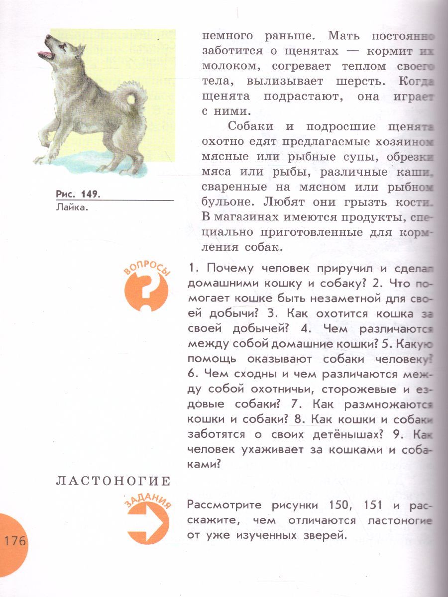 Обложка книги Биология 8 класс. Учебник для специальных (коррекционных) образовательных учреждений VIII вида, Автор Никишов А.И. Теремов А.В., издательство Просвещение | купить в книжном магазине Рослит