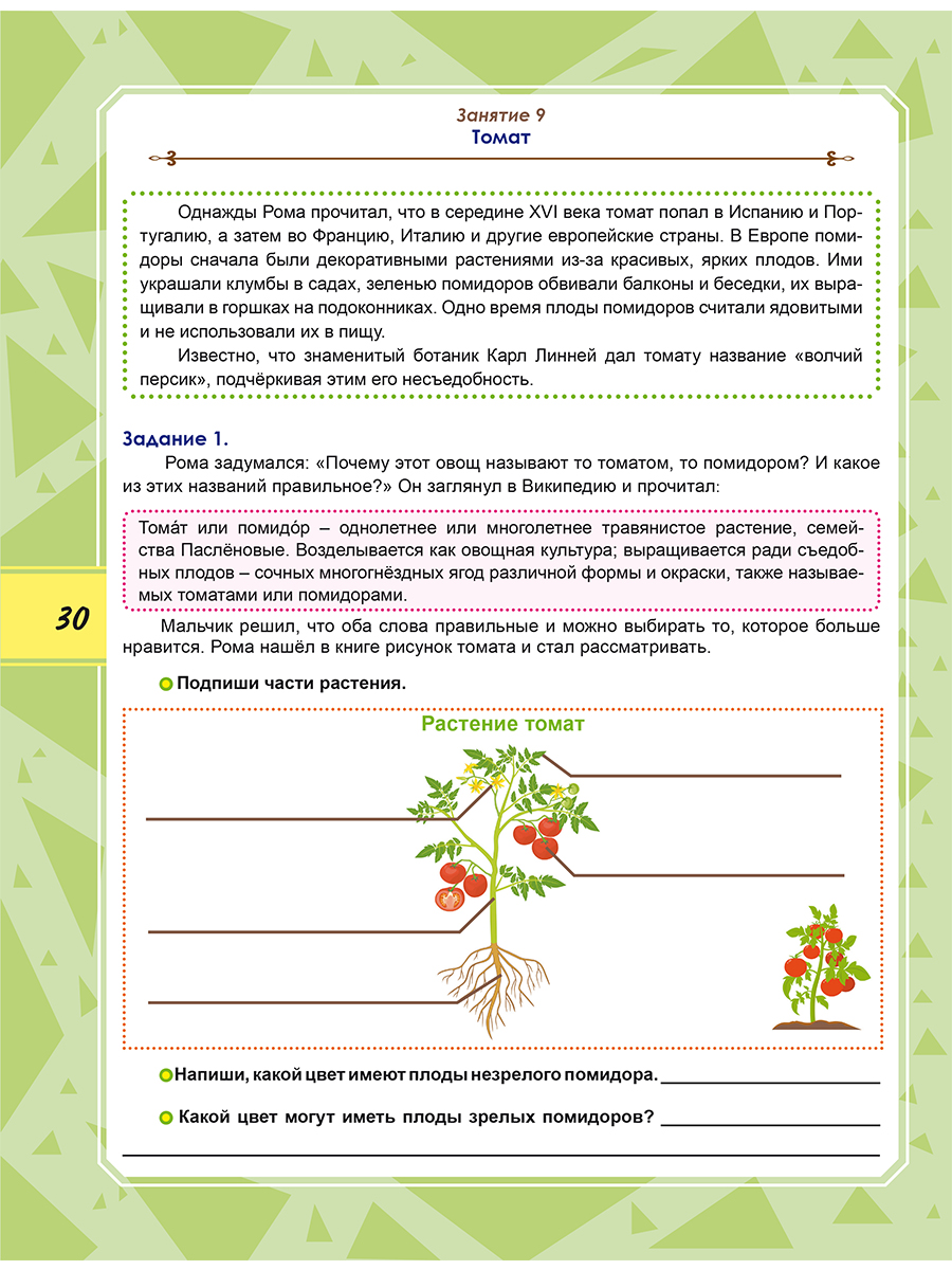 Обложка книги Функциональная грамотность 4 класс. Тренажер для школьников. Учение с увлечением, Автор Буряк М.В. Шейкина С.А., издательство Планета | купить в книжном магазине Рослит