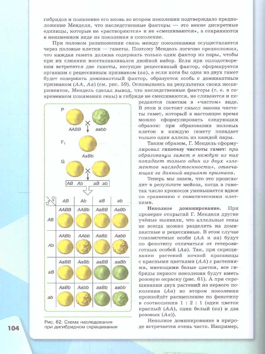 Обложка книги Биология. Базовый уровень. Учебное пособие для СПО. ФГОС, Автор Агафонова И.Б.; Каменский А.А.; Сивоглазов В.И., издательство Просвещение | купить в книжном магазине Рослит