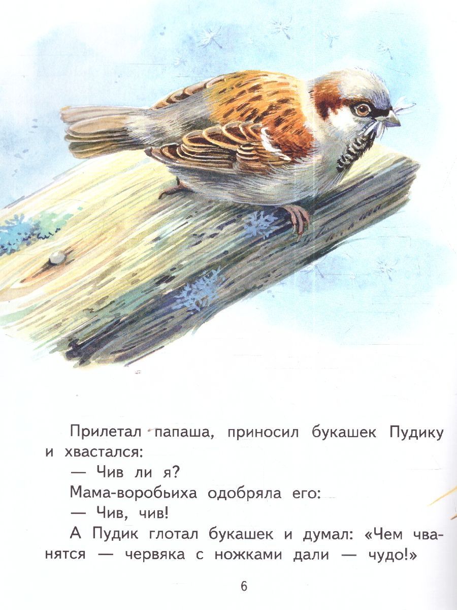 Обложка книги Воробьишко. Сказка, Автор Горький Максим, издательство Мозаичный парк                                     | купить в книжном магазине Рослит