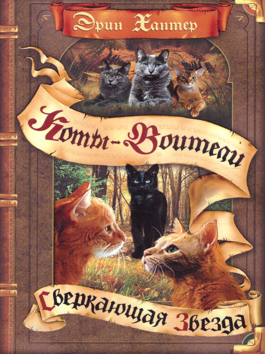 Обложка Сверкающая Звезда, издательство Просвещение/Союз                                   | купить в книжном магазине Рослит
