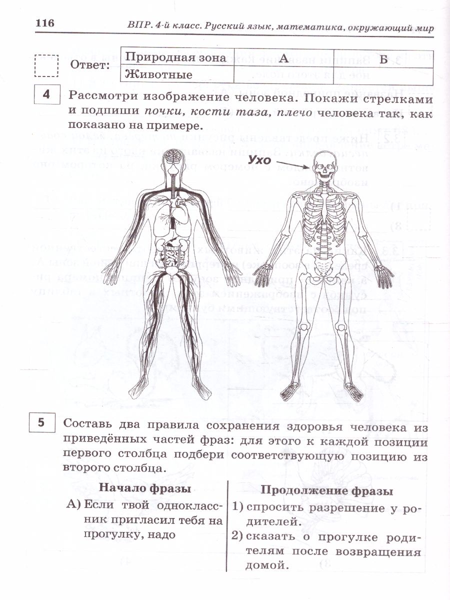 Обложка книги ВПР-2023. Русский язык, математика, окружающий мир 4 класс. 15 тренировочных вариантов, Автор Ольховая Л.С. Сухаревская Е.Ю. Федотенко С.В., издательство ЛЕГИОН | купить в книжном магазине Рослит