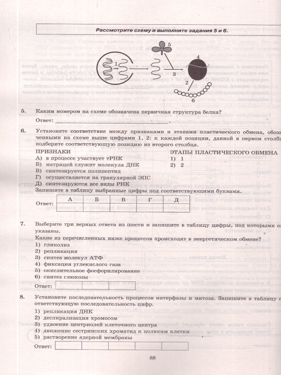 Обложка книги ЕГЭ 2026 Биология. Типовые варианты экзаменационных заданий. 12 вариантов. ФИПИ, Автор Мазяркина Т. В.; Первак С. В., издательство Экзамен | купить в книжном магазине Рослит